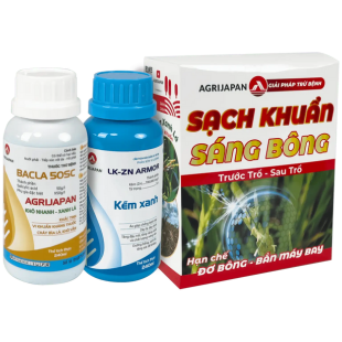 bo-giai-phap-sach-khuan-sang-bong