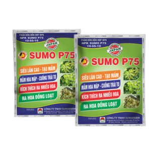 sumo-p75-10-55-10