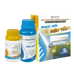 bo-giai-phap-phuc-hoi-sieu-toc