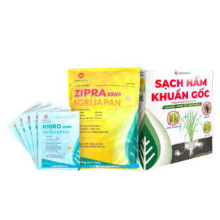 bo-giai-phap-sach-nam-khuan-goc