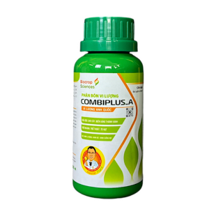 giai-phap-kien-thiet-cay-lua-khoe