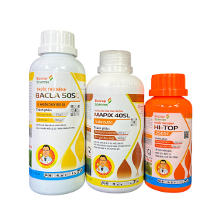 giai-phap-phong-tru-nam-khuan