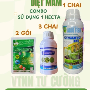 combo-7-diet-mam