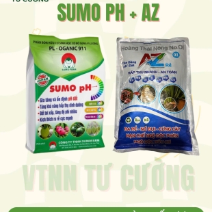 combo-10-cai-tao-dat-va-kich-thich-phat-trien-cay-lua