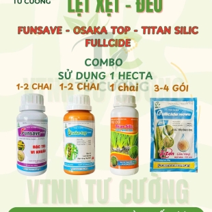 combo-12-phong-benh-va-tang-nang-suat