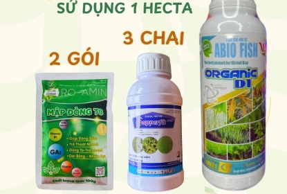 quy-trinh-cay-lua-mien-tay-vat-tu-nong-nghiep-tu-cuong